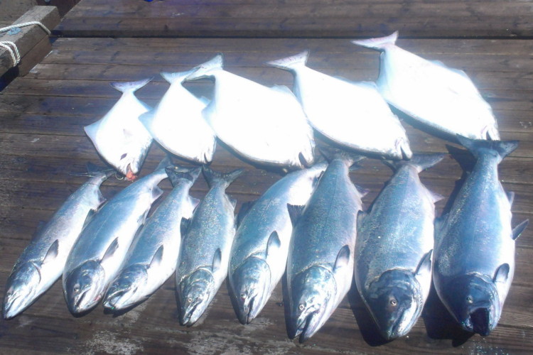 May 2015 Fishing Report